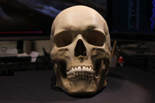 Arnold Skull