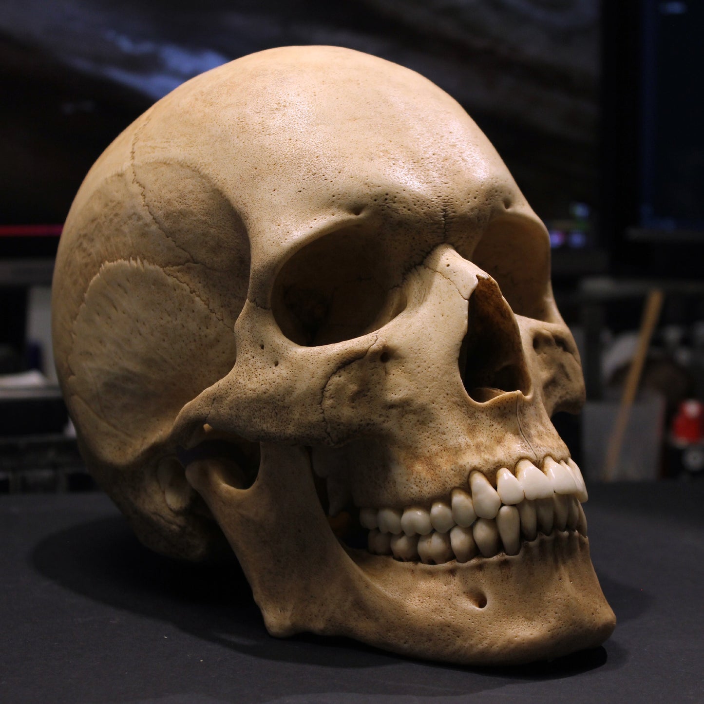 Arnold Skull